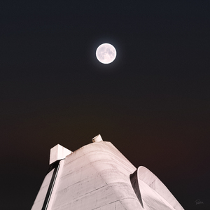 免费看裸体🔞🔞🔞豆花
